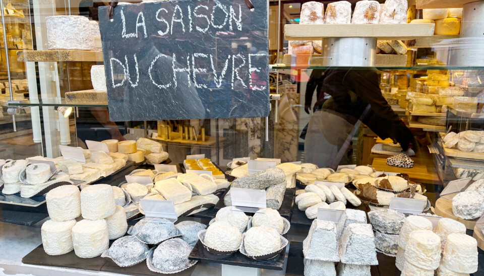 Vitrine d'un assortiment de fromages de chèvre français avec pancarte indiquant La saison du chèvre.