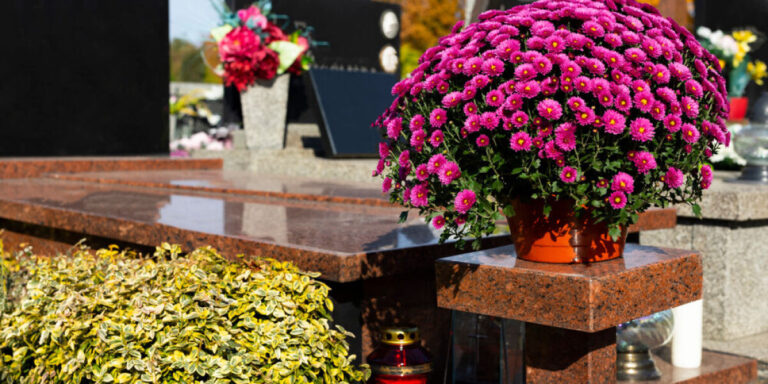 Fleurs et ponctualité ne sont pas toujours payants en France