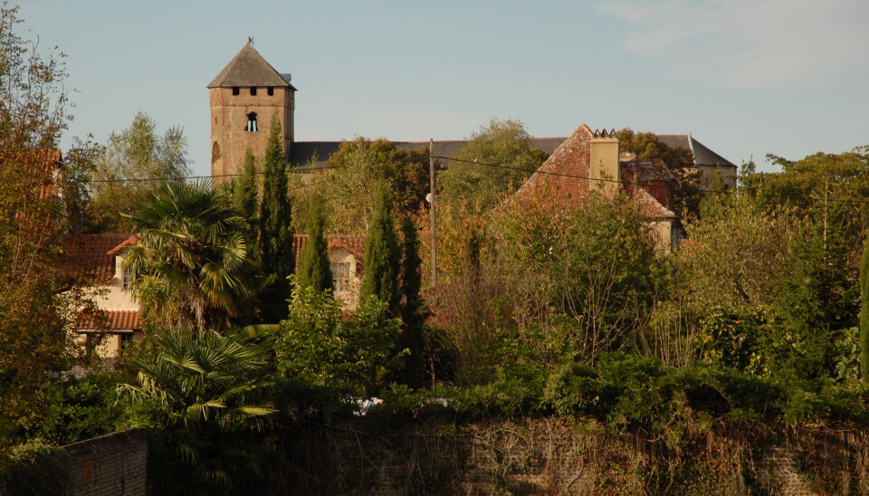 Château historique sur une colline entouré d'arbres aux couleurs d'automne.