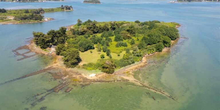 Île privée en Bretagne avec cinq plages à vendre à 2,5 M€