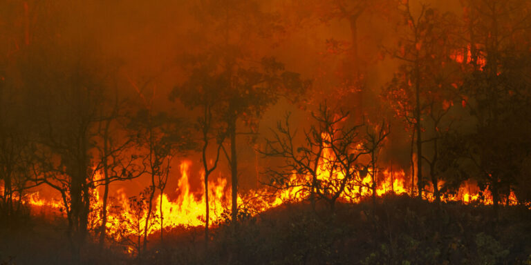 L&rsquo;erreur humaine à l&rsquo;origine de la plupart des incendies de forêt en France dont les causes sont connues