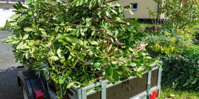 Pourquoi ma décharge française ne prend-elle plus les déchets verts ?