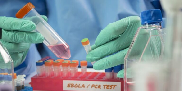 Premier cas d&rsquo;Ebola confirmé en France métropolitaine