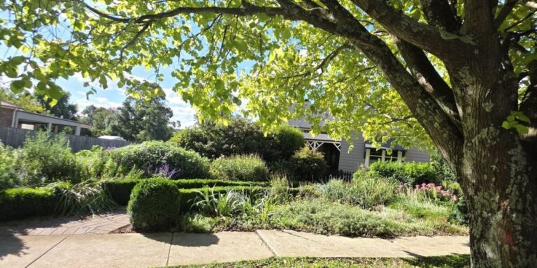 Puis-je abattre un arbre dans mon jardin à la française sans autorisation ?