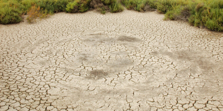 Restrictions d&rsquo;eau imposées dans certaines régions de France