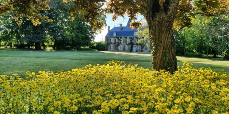 Sur le marché : « Notre manoir français de 1758 est devenu un opéra »