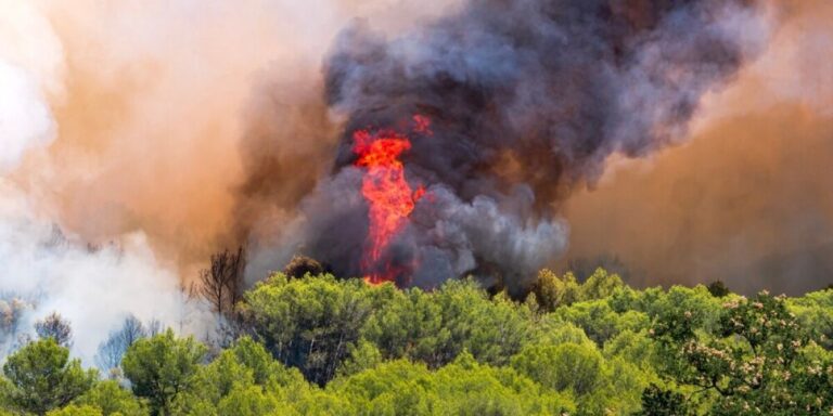 32 personnes arrêtées en France pour suspicion d&rsquo;incendie de forêt