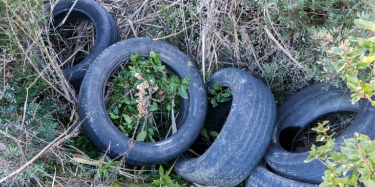 Comment puis-je prévenir les moustiques dans mon jardin et ma maison ?