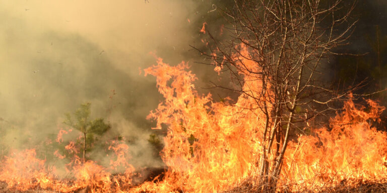 Des milliers d&rsquo;autres évacués alors que les incendies de forêt se propagent dans le sud de la France