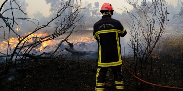 Incendies en France : les lois sur le débroussaillage sont-elles assez strictes ?