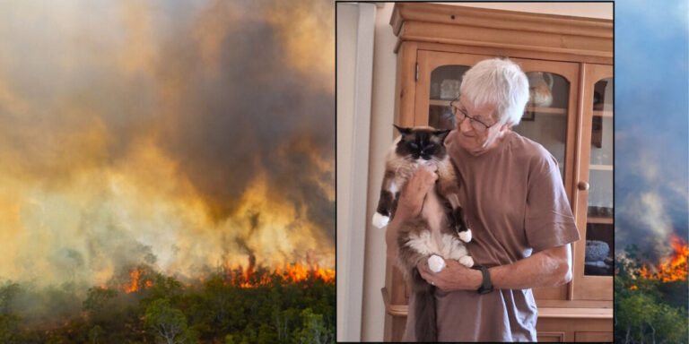 La « pure panique » d’un couple britannique fuyant les incendies de forêt dans le sud-ouest de la France