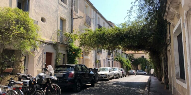 Les villes françaises divisées sur la verdure des rues « sauvages »