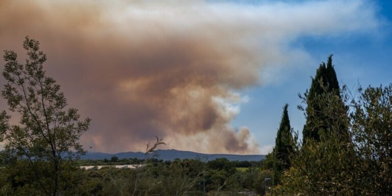 Mise à jour sur les incendies de forêt en France le 20 juillet : des maisons détruites alors que l&rsquo;incendie brûle 200 hectares dans le Var