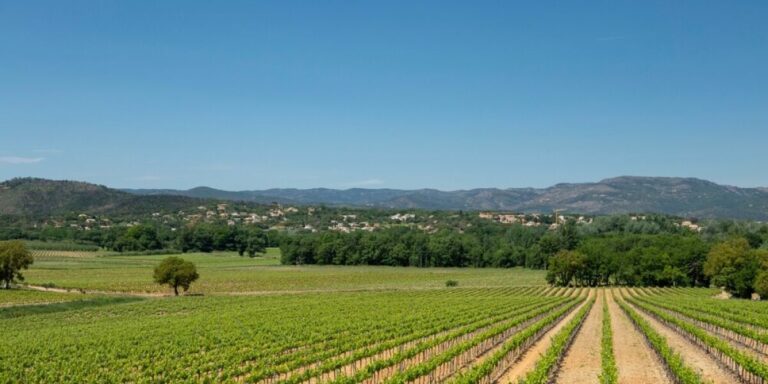 Prévisions météo en France : plus fraîches dans le nord, températures élevées restant dans le sud