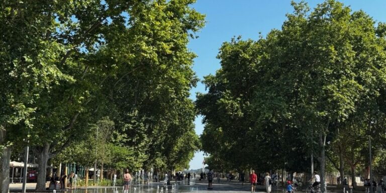 Prévisions météo hebdomadaires en France du 27 au 31 juillet : arrivée de la quatrième vague de chaleur, température maximale de 40 °C