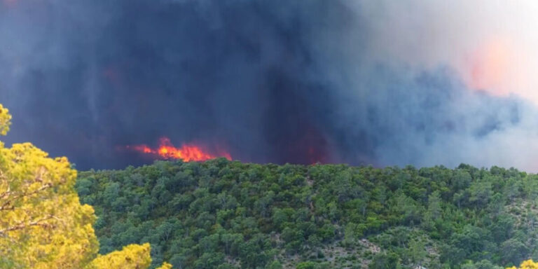 Votre guide pour comprendre les termes français autour des incendies de forêt