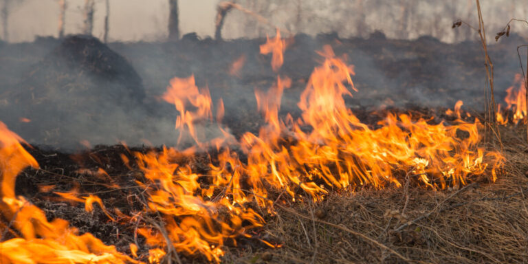 Des incendies de forêt brûlent dans la Drôme et la Lozère alors qu&rsquo;une nouvelle vague de chaleur entraîne de nouveaux risques