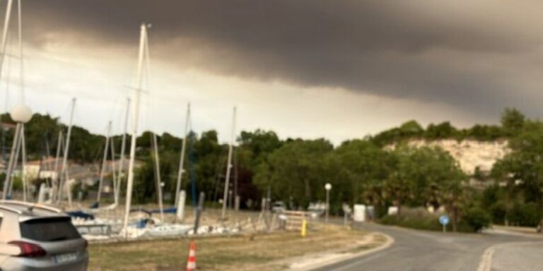 Incendies de forêt en France : pourquoi la fumée peut être dangereuse même loin des flammes