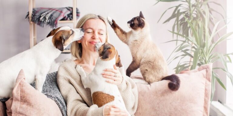 Nouvelles sanctions pour les ventes non autorisées de chiens et de chats en France