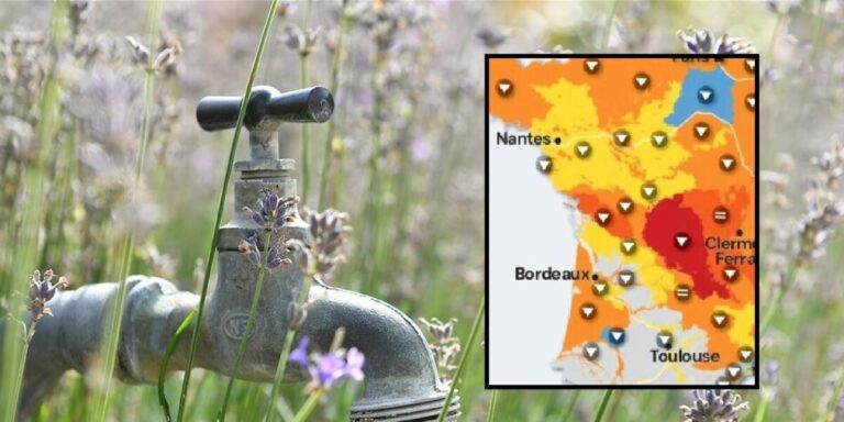 Sécheresse historique en France : la plupart des réservoirs souterrains à des niveaux inférieurs à la moyenne