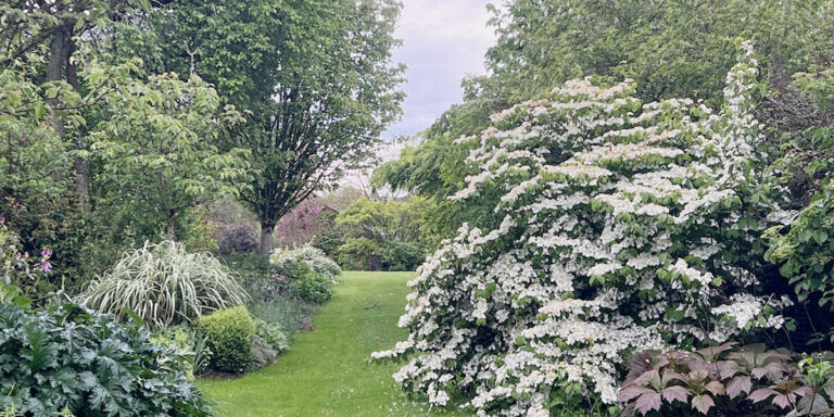 Transformer une toile vierge en jardin pour toutes les saisons