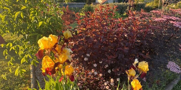 Visitez un jardin de l&rsquo;Allier à l&rsquo;anglaise