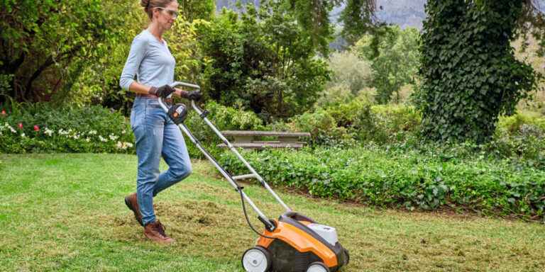 Conseils de jardinage de septembre : entretien de la pelouse et quels légumes d&rsquo;hiver semer