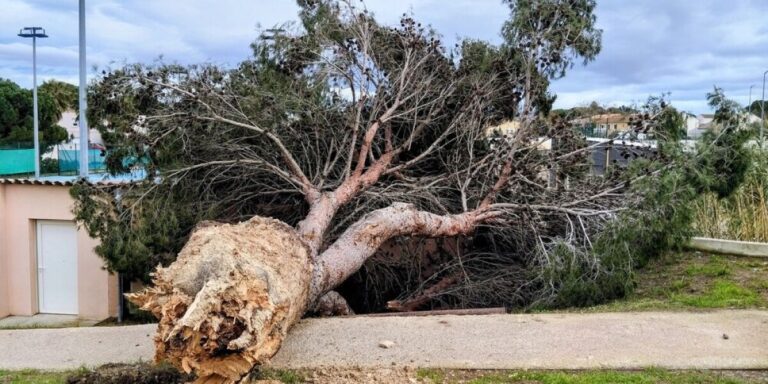 De fortes tempêtes vont frapper le sud de la France et des alertes renforcées sont déclenchées