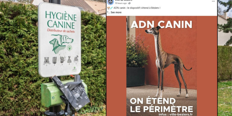 De plus en plus de communes françaises adoptent les tests ADN pour lutter contre les crottes de chien