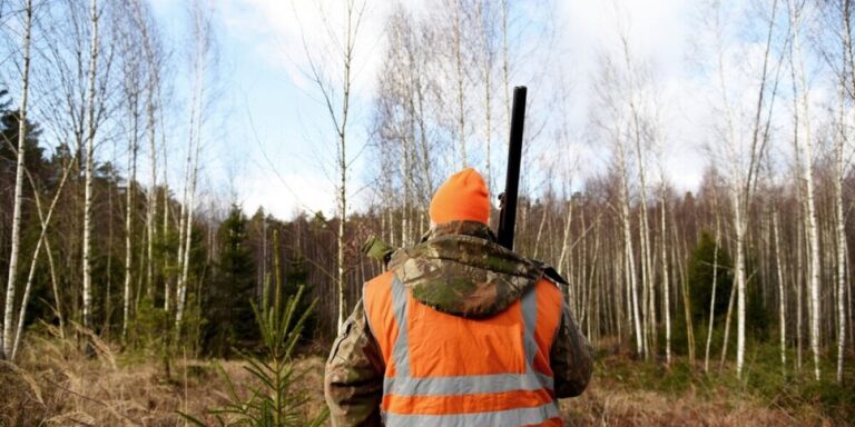 Début de la saison de chasse française : les chasseurs peuvent-ils entrer dans votre jardin ?