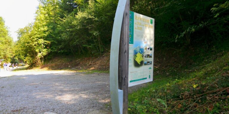 Des touristes britanniques trouvent une arme dans le lac d&rsquo;Annecy qui pourrait être liée aux meurtres de Chevaline