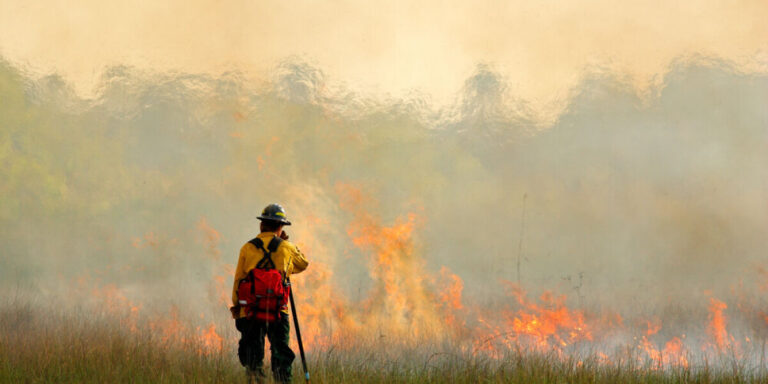 Les incendies de forêt se multiplient en France alors que le temps sec persiste