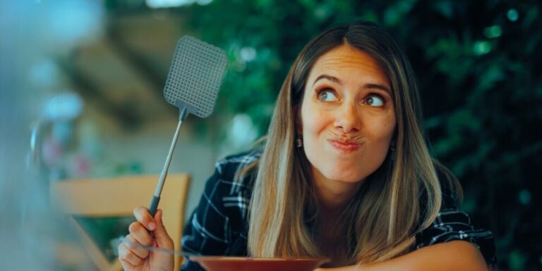 Pourquoi il y a plus de mouches en France cet été – et comment s&rsquo;en débarrasser