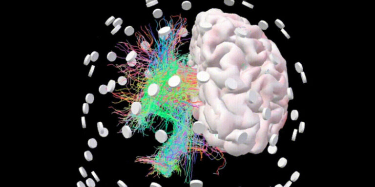 Un « jumeau numérique » fonctionnel du cerveau humain développé par une start-up marseillaise