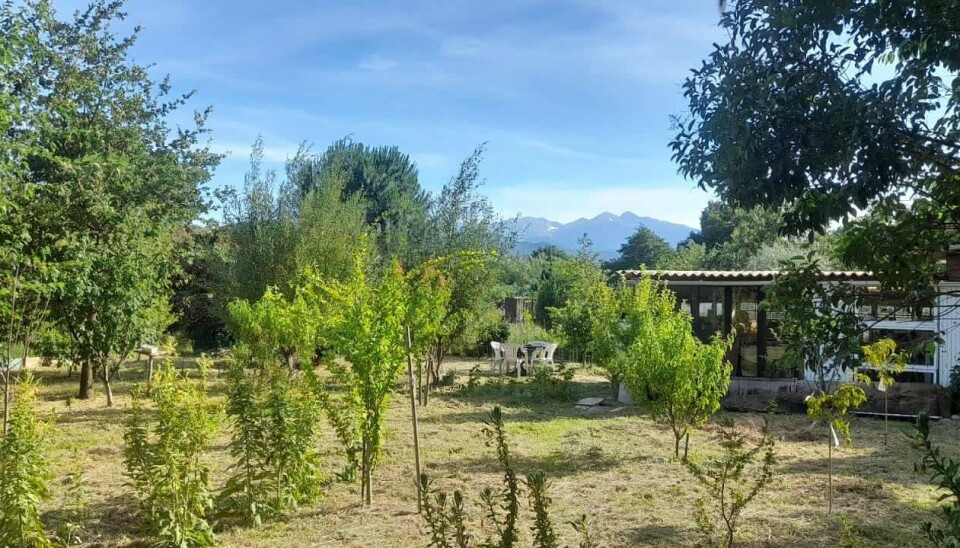 Jardin ensoleillé avec de jeunes plantes, des arbres, un bâtiment bas et des montagnes en arrière-plan