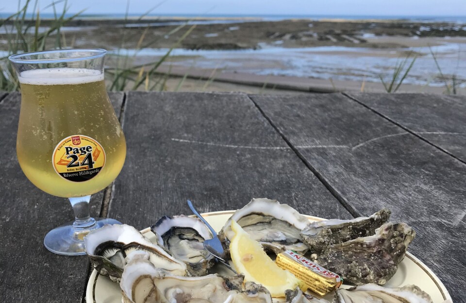Assiette d'huîtres au citron à côté d'un pot de boisson dorée sur une table en bord de mer.