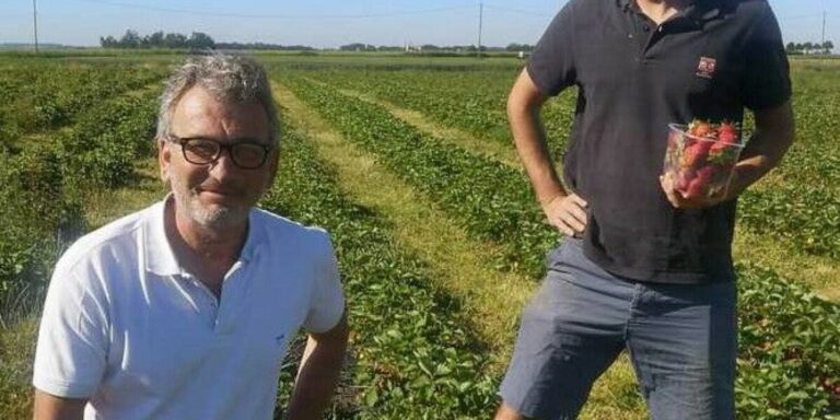 Autocueillette de fruits et légumes près de Paris