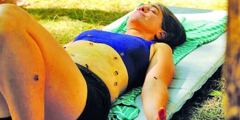 Bee yoga : Au coeur d&rsquo;une expérience bien-être insolite dans le sud-ouest de la France