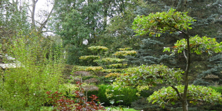 Jardins Ouverts : découvrez un jardin-forêt dans l&rsquo;Allier