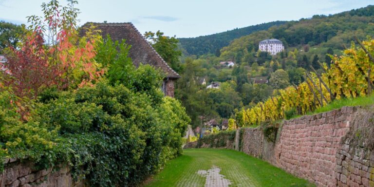 La France lance un projet national pour aider à cartographier les sentiers ruraux et les routes locales