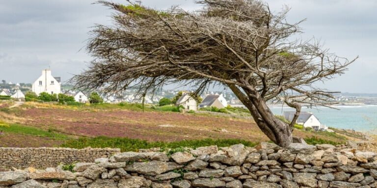 La tempête Austen frappera le nord de la France avec des vents pouvant atteindre 140 km/h