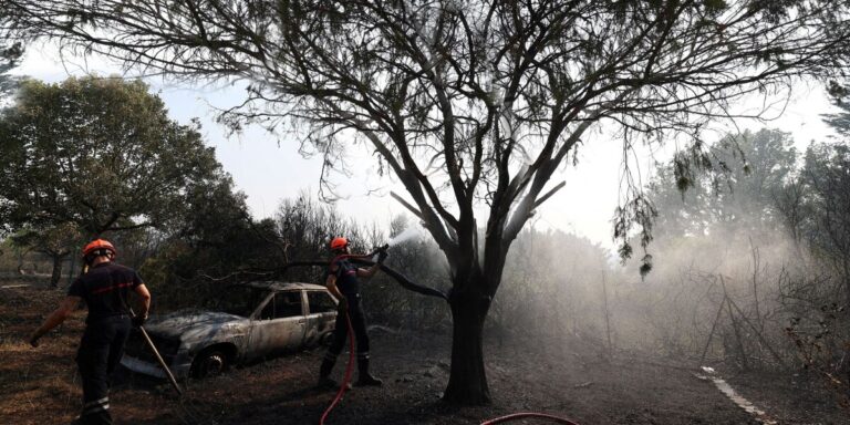 Les forêts françaises endommagées par les incendies de forêt seront restaurées grâce à l&rsquo;argent de la loterie