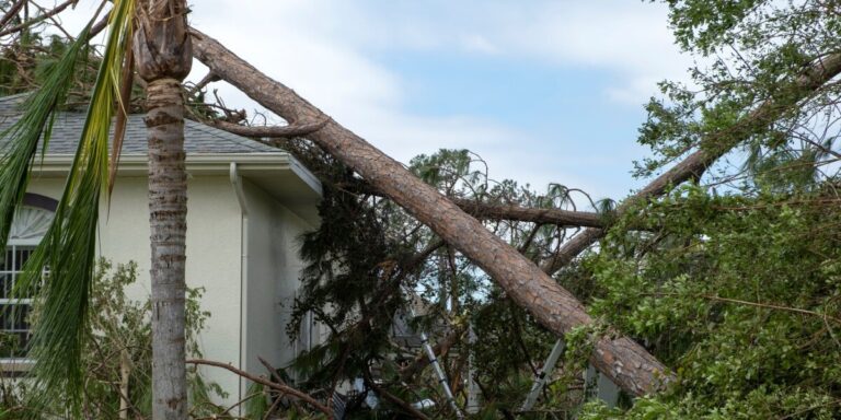 Suite de la tempête Austen : la chute d&rsquo;un arbre endommage trois maisons alors qu&rsquo;une nouvelle alerte à la pluie est émise en France