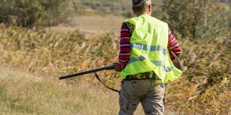Un chasseur tue un promeneur en Occitanie après l&rsquo;avoir pris pour un sanglier